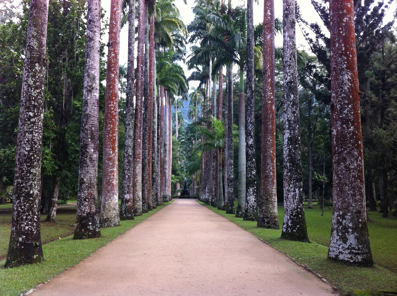 botanical garden rio de janeiro 4 days