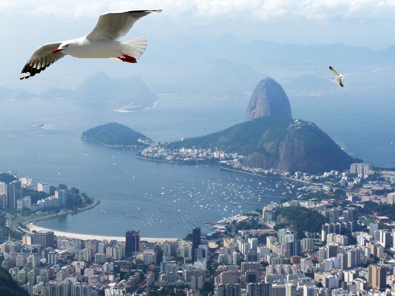 rio de janeiro skip the line tours